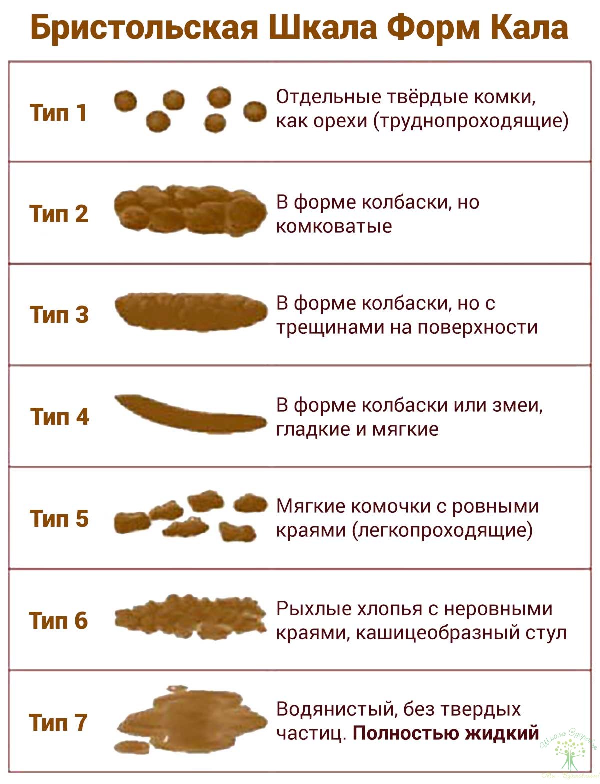 слабый стул у взрослого длительное время