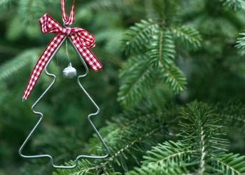 Cómo conservar más tiempo un árbol de Navidad vivo Cómo conservar más tiempo un árbol de Navidad en un apartamento