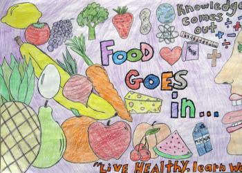 “Healthy lifestyle Drawing on the theme 7 rules of health